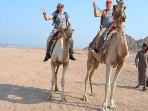 Hurghada-for-you-safari-13