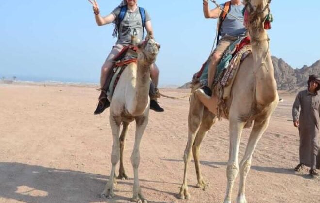 Hurghada-for-you-safari-13