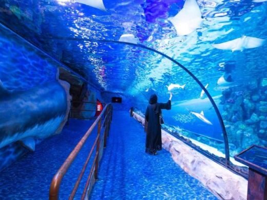 hurghada Aquarium 4