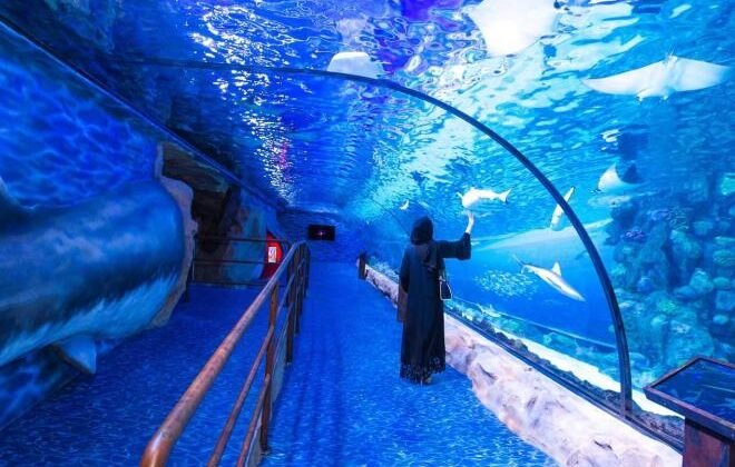 hurghada Aquarium 4