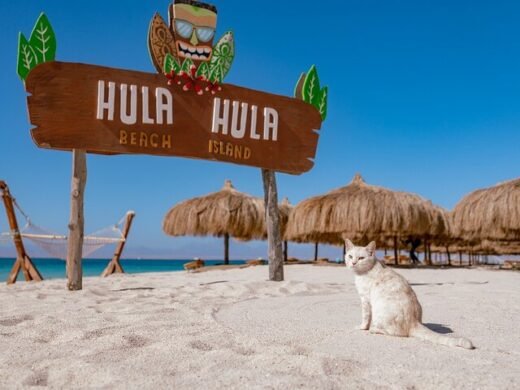 o.-hula-hula