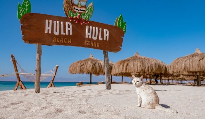 o.-hula-hula