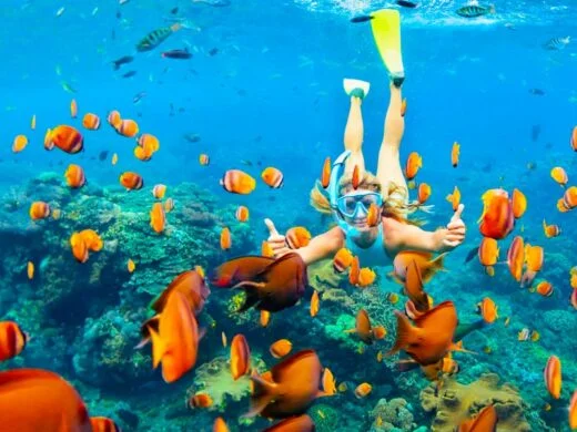 Snorkeling-Pl